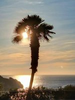 3 bedrooms Apartment in Nova Santa Ponsa, Spain No. 14151 - apartment in Spain