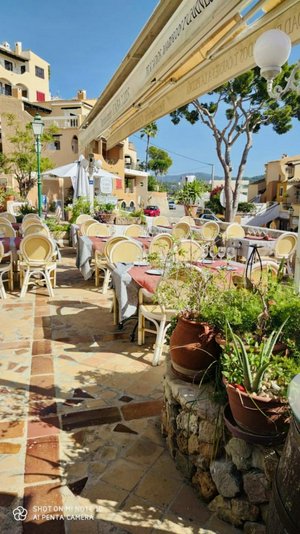 Commercial property in Cala Fornells, Spain No. 14179