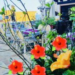Commercial property in Cala Fornells, Spain No. 14179 - Image 6