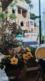 Commercial property in Cala Fornells, Spain No. 14179 - Image 8