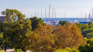 3 bedrooms Apartment in Palma de Majorca, Spain No. 14194