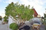 3 bedrooms Villa in Torrevieja, Spain No. 14293 - Image 5