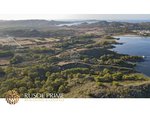 10 bedrooms Finca in Es Mercadal, Spain No. 1455 - Image 8