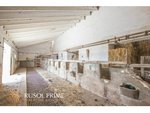 10 bedrooms Finca in Es Mercadal, Spain No. 1455 - Image 18