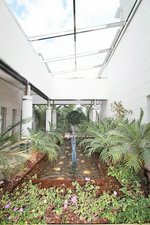 5 bedrooms Villa in Bendinat, Spain No. 14617 - Image 15