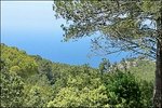 Land in Valldemosa, Spain No. 14798 - land in Spain