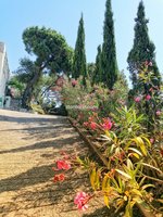 6 bedrooms Villa in Lloret de Mar, Spain No. 14837 - Image 29