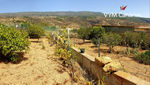 2 bedrooms Finca in Fasnia, Spain No. 15074 - Image 22