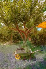 4 bedrooms Villa in Barx, Spain No. 15094 - Image 17