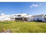 7 bedrooms Villa in Es Castell, Spain No. 151 - Image 6