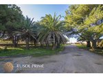 7 bedrooms Villa in Ciutadella De Menorca, Spain No. 154 - Image 17
