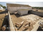 8 bedrooms Finca in Ciutadella De Menorca, Spain No. 155 - Image 9