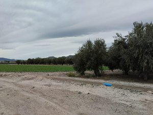 8401m² Land in Lorca, Spain No. 156205
