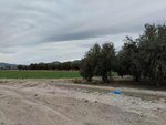 8401m² Land in Lorca, Spain No. 156205 - land in Spain