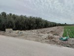 8401m² Land in Lorca, Spain No. 156205 - Image 2