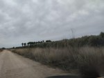 8401m² Land in Lorca, Spain No. 156205 - Image 3