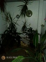 4 bedrooms Apartment in Calpe, Spain No. 1564 - Image 8