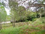 421m² Land in Sant Llorenc D'hortons, Spain No. 156654 - Image 3