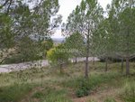 421m² Land in Sant Llorenc D'hortons, Spain No. 156654 - Image 5