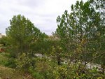 421m² Land in Sant Llorenc D'hortons, Spain No. 156654 - Image 6