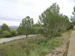 421m² Land in Sant Llorenc D'hortons, Spain No. 156654 - Image 9