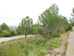 421m² Land in Sant Llorenc D'hortons, Spain No. 156654 - Image 10