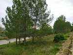 421m² Land in Sant Llorenc D'hortons, Spain No. 156654 - Image 11