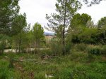 421m² Land in Sant Llorenc D'hortons, Spain No. 156654 - Image 15
