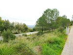 421m² Land in Sant Llorenc D'hortons, Spain No. 156654 - Image 16