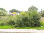 421m² Land in Sant Llorenc D'hortons, Spain No. 156654 - Image 20