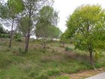 421m² Land in Sant Llorenc D'hortons, Spain No. 156654 - Image 26