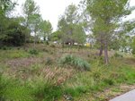 421m² Land in Sant Llorenc D'hortons, Spain No. 156654 - Image 27