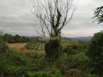 421m² Land in Sant Llorenc D'hortons, Spain No. 156654 - Image 31
