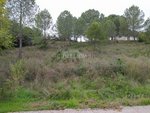421m² Land in Sant Llorenc D'hortons, Spain No. 156654 - Image 32
