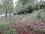 421m² Land in Sant Llorenc D'hortons, Spain No. 156654 - Image 35