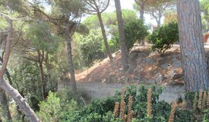 1458m² Land in Dosrius, Spain No. 157198