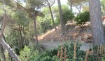 1458m² Land in Dosrius, Spain No. 157198 - land in Spain