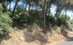 1458m² Land in Dosrius, Spain No. 157198 - Image 4