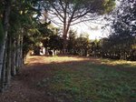 1254m² Land in Sant Pere de Vilamajor, Spain No. 157603 - Image 8