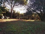 1254m² Land in Sant Pere de Vilamajor, Spain No. 157603 - Image 12
