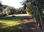 1254m² Land in Sant Pere de Vilamajor, Spain No. 157603 - Image 18