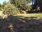 1254m² Land in Sant Pere de Vilamajor, Spain No. 157603 - Image 19