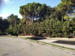 1254m² Land in Sant Pere de Vilamajor, Spain No. 157603 - Image 21