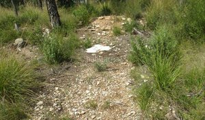 963m² Land in Olivella, Spain No. 158719
