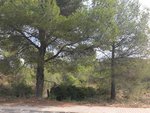 963m² Land in Olivella, Spain No. 158719 - Image 3