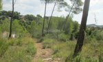 963m² Land in Olivella, Spain No. 158719 - Image 7