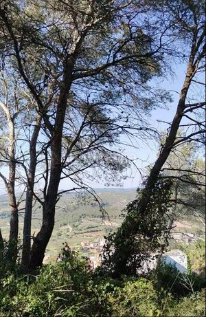981m² Land in Barcelona, Spain No. 166071