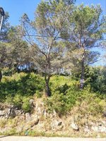 981m² Land in Barcelona, Spain No. 166071 - Image 4