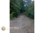 5 bedrooms Finca in Mahon, Spain No. 182 - Image 7