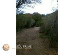 5 bedrooms Finca in Mahon, Spain No. 182 - Image 8